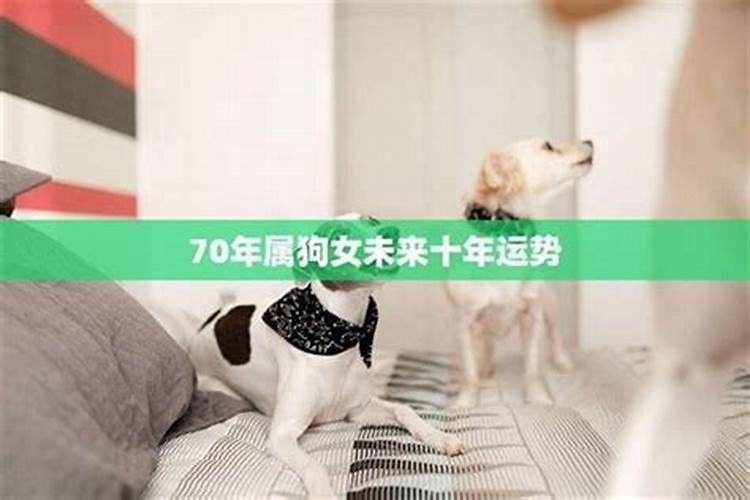 1970年五月属狗女今年运势