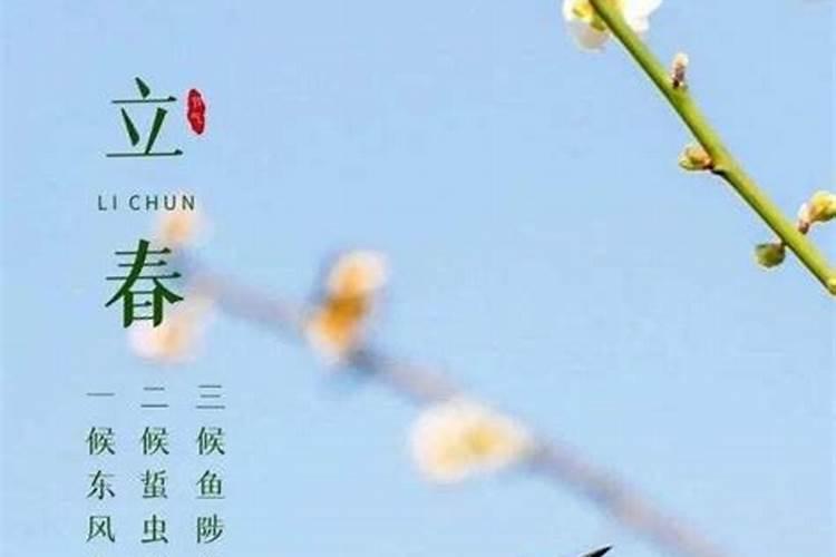 93年立春哪一天？