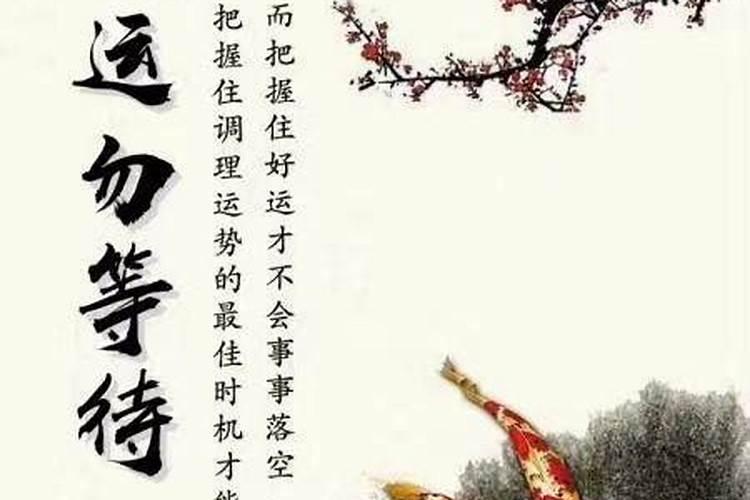 大运正财流年食神流月正印