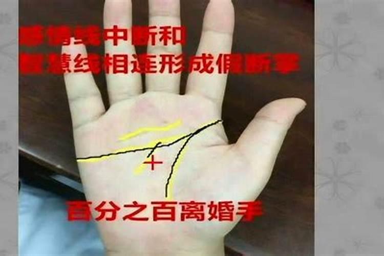 智慧线中断是不婚姻不顺