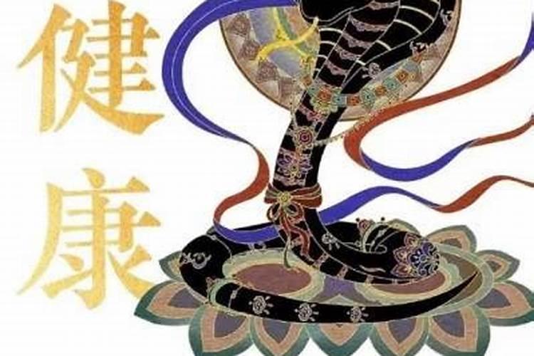 十二个属十二生肖属蛇一生运程