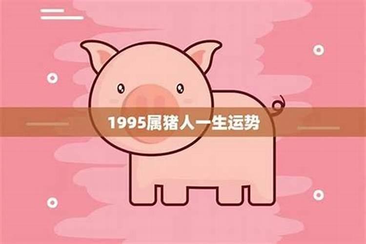 1995年属猪的人一生运程