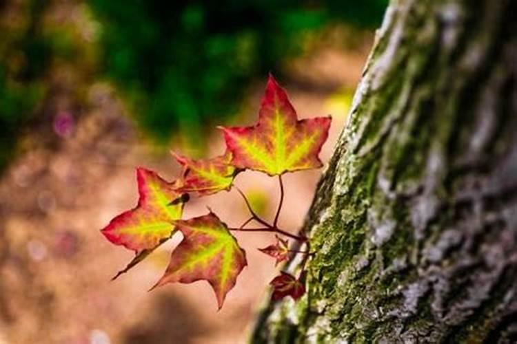 宫外孕需要超度婴灵吗？