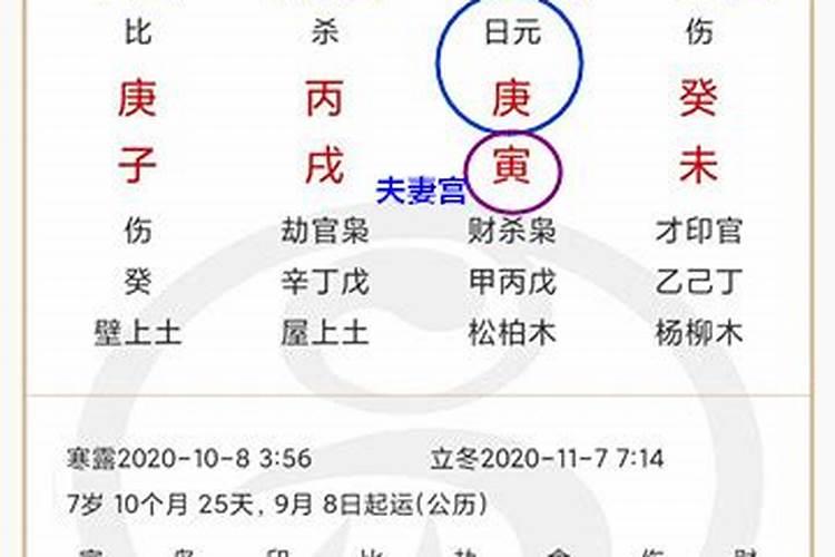 日支与月支看婚姻