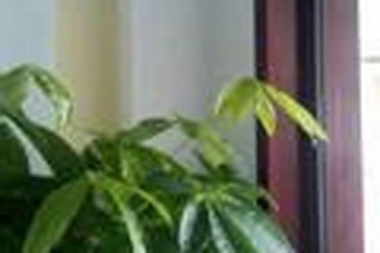 八字分析逻辑错误怎么办？