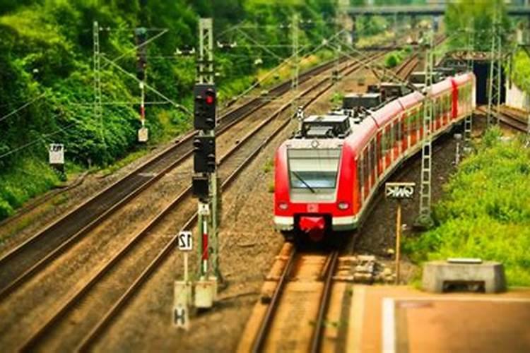 59年的猪2026年的运程