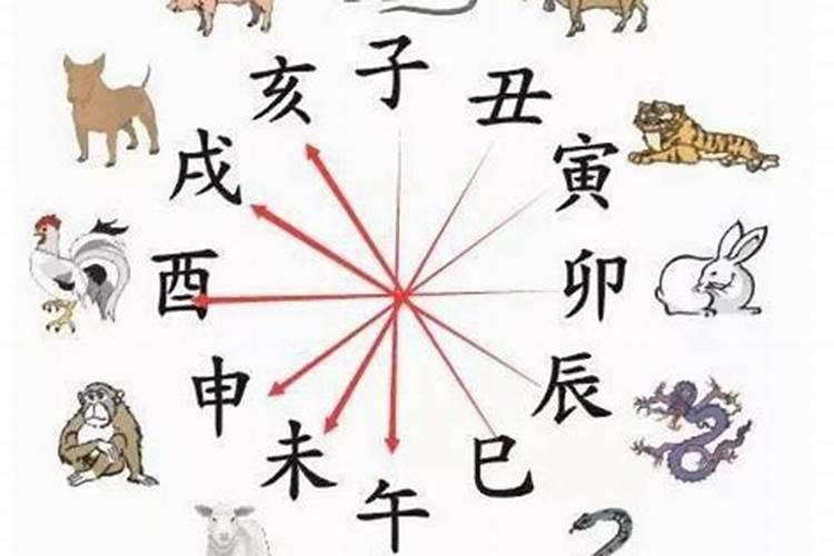 什么属相相克？