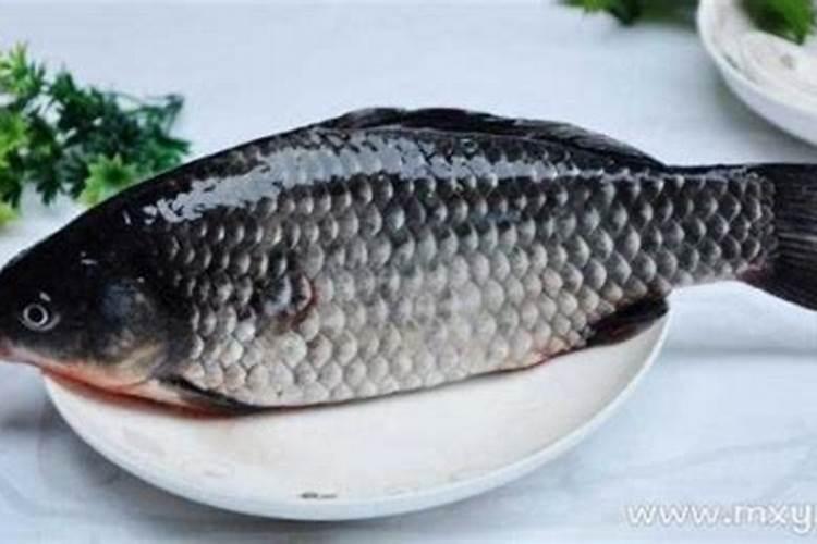 梦见鲫鱼什么预兆？