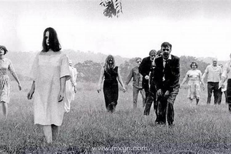 梦见死人头颅什么预兆？