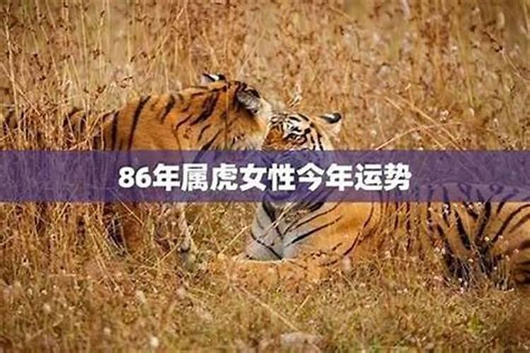 86年这个月的运势如何？