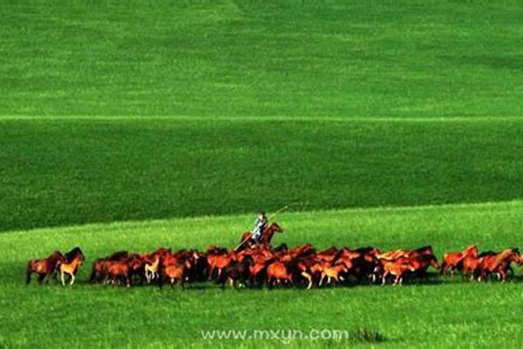 梦见红马奔跑什么意思？