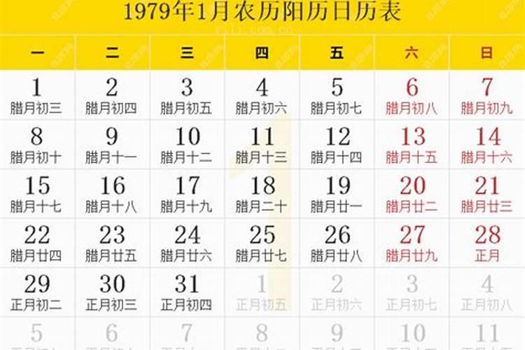 1979年农历6月16今年运势如何？