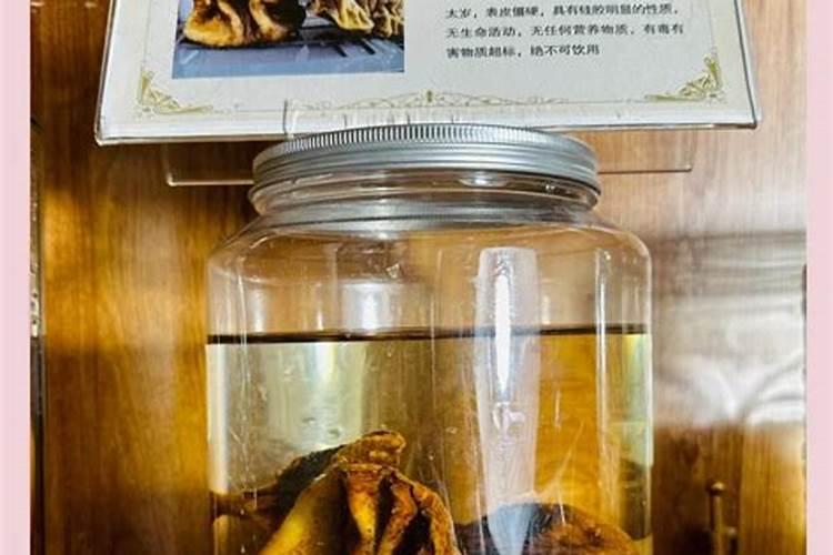 如何辨认真假太岁？