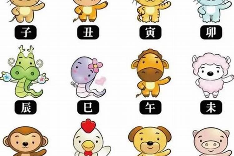 9月生狗人运势如何？