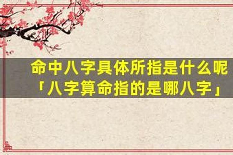 八字是指哪八字？