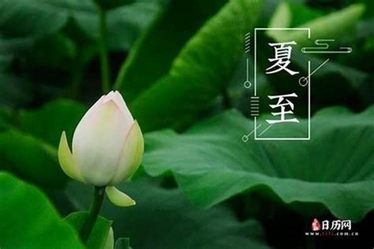 今年的夏至是几月几号几点几分？