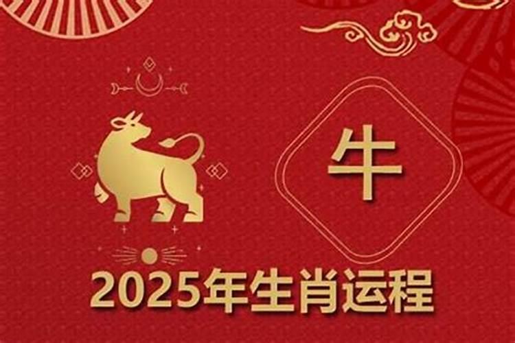 酉时出生的属牛男孩运程