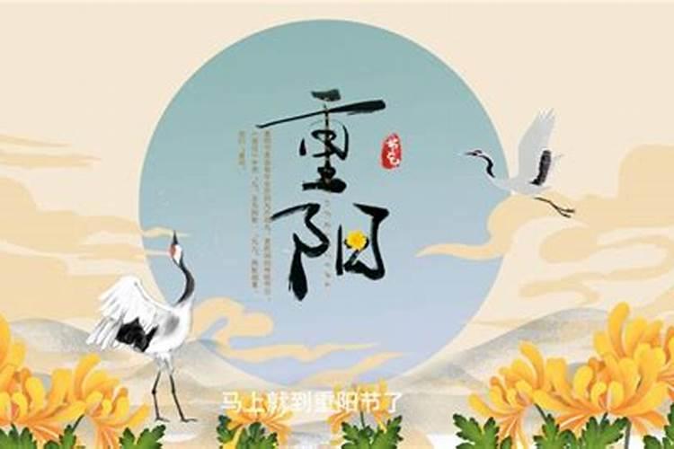 重阳节具体习俗