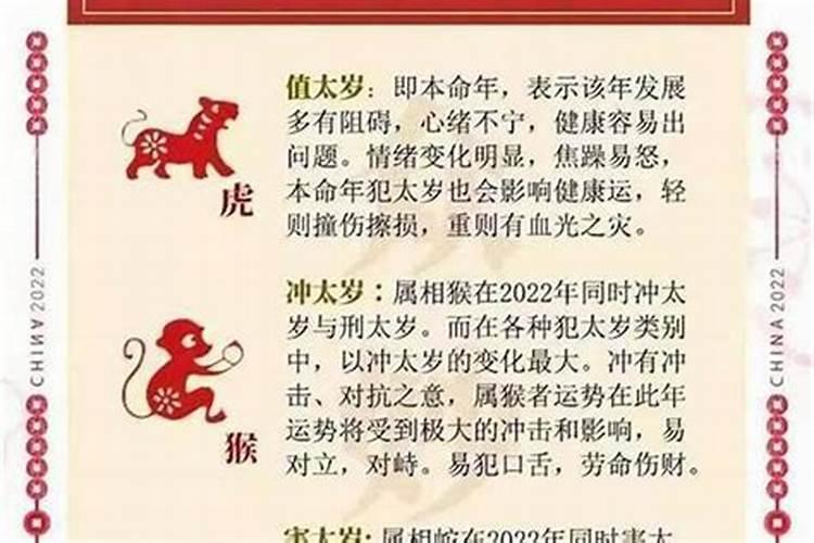 今年犯小人的属相是哪一个？