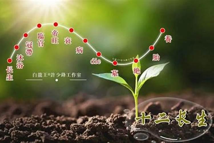 运势起伏改变态度什么意思？