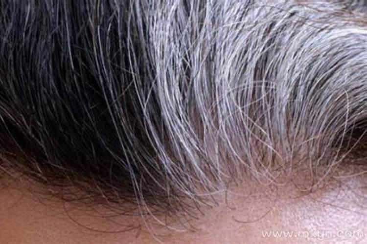 梦见死人头发白了什么意思？