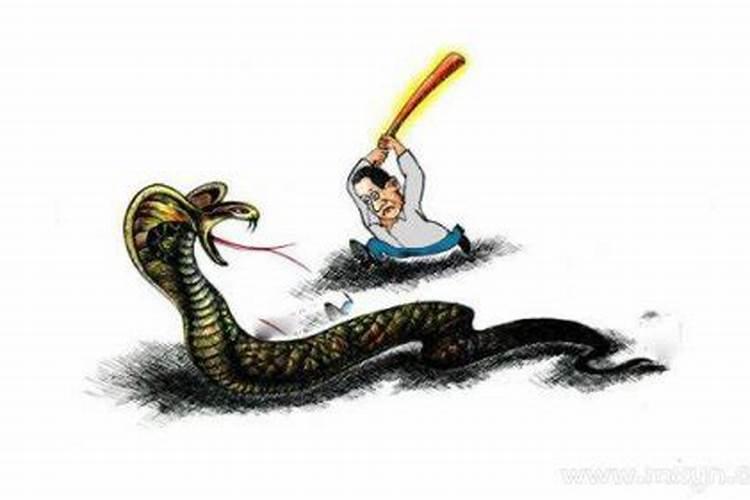 孕妇梦见把蛇打死了是什么意思？