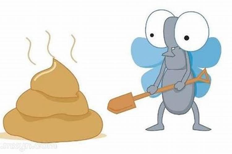 梦见去卫生间大便是什么意思？