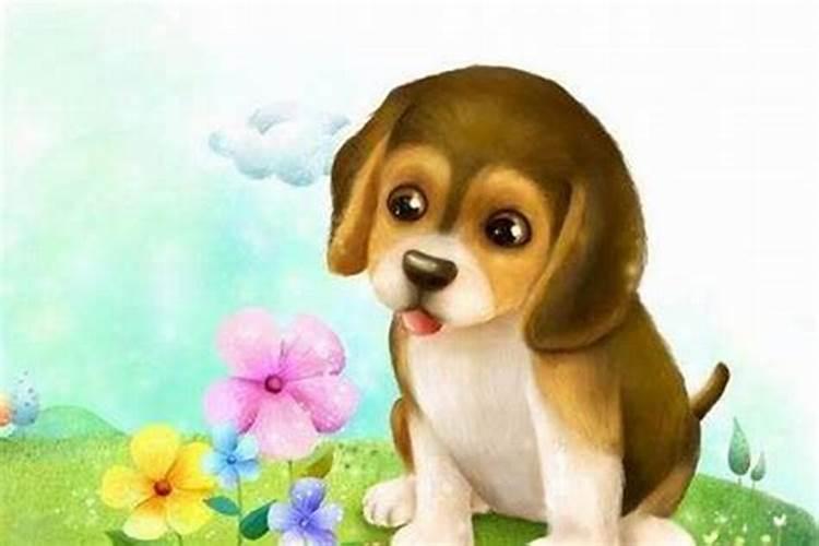 82年生的运势怎么样？