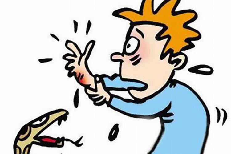 梦见儿子被双头蛇咬了是什么征兆？