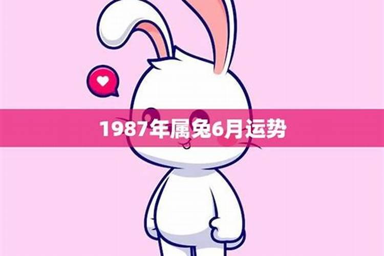 1987年属兔男今年运势