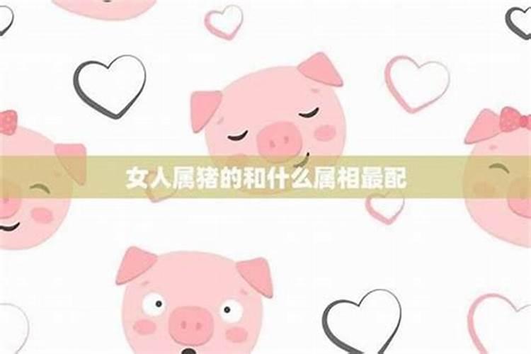 属猪女最佳婚配属相