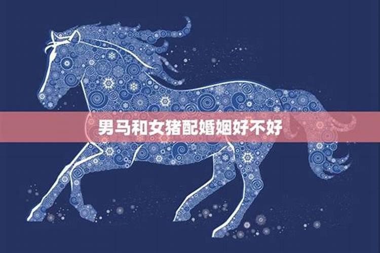 3月男马和9月女马合婚吗？