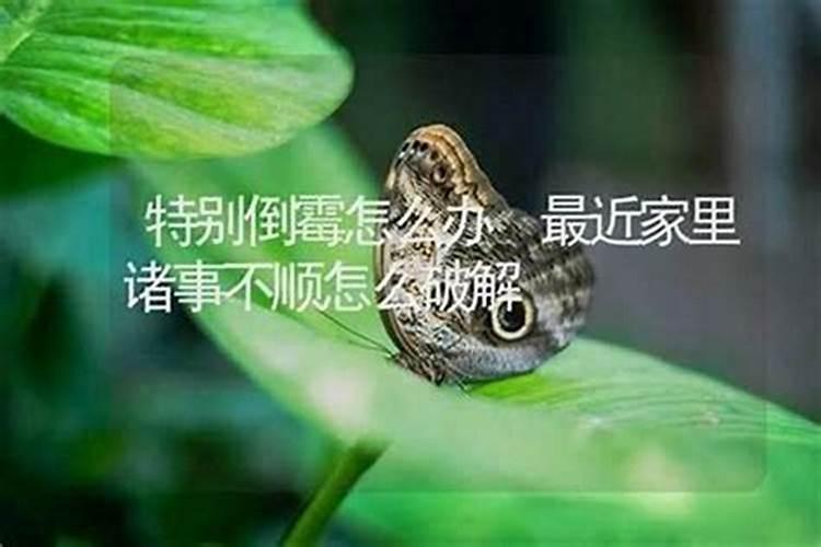 风水最近不顺怎么办？