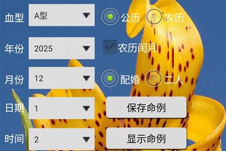 手机版八字合婚