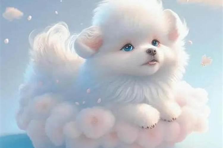 属狗2026年运势和婚姻