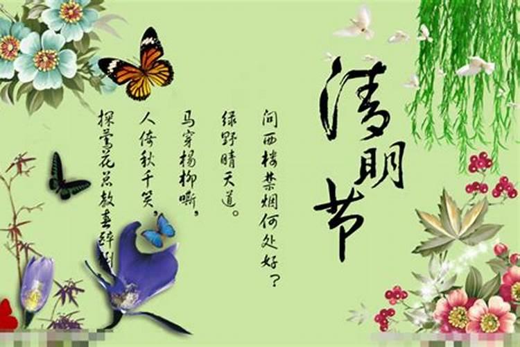 清明节祭奠蝴蝶