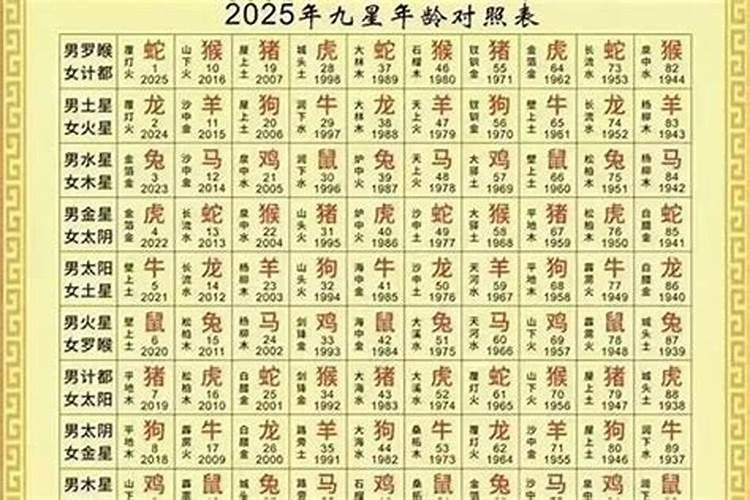 2026年属什么生肖运势详解？