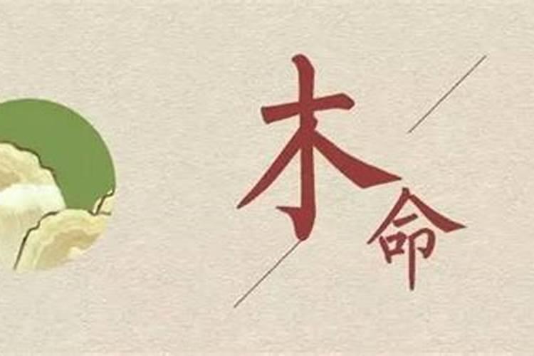 木命的人怎么提升财运？