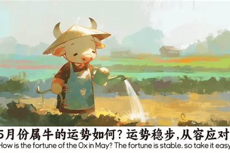 属牛5月份运势如何？