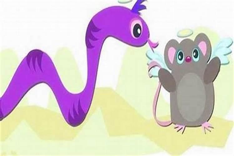 蛇和猪的婚配属相好吗？