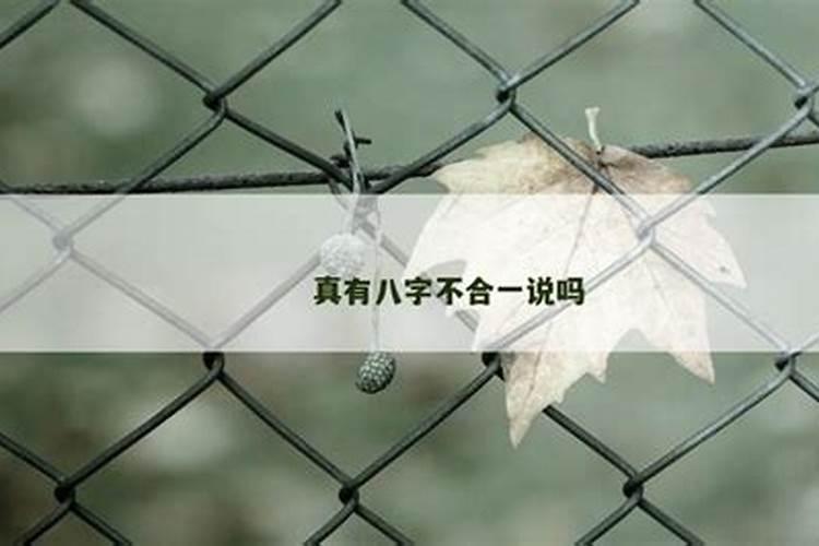 真有八字不合一说吗？