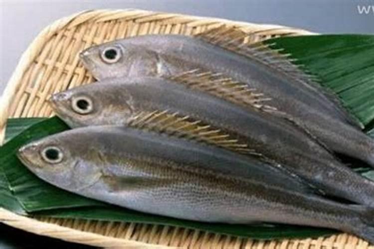 梦见鱼是什么意思？