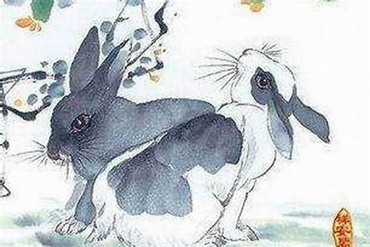 属羊的找属兔的合婚吗？