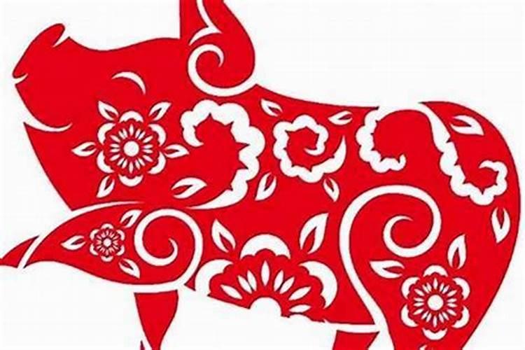 属猪的八字和什么不合？