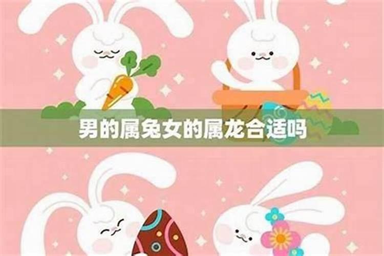 女鸡与兔属相婚配可以吗？