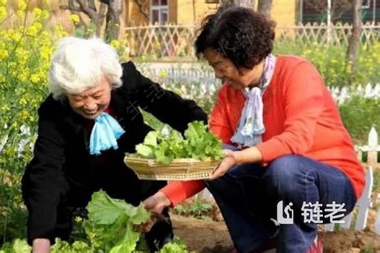 梦见回老家妈妈叫我