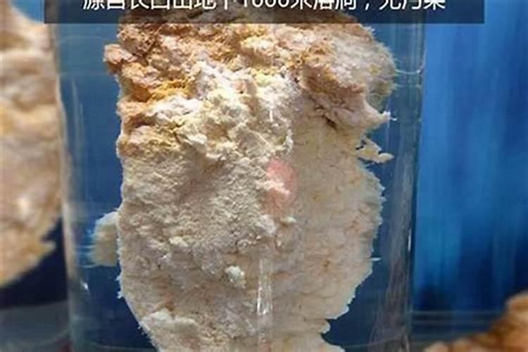 假太岁泡的水是怎么样的？