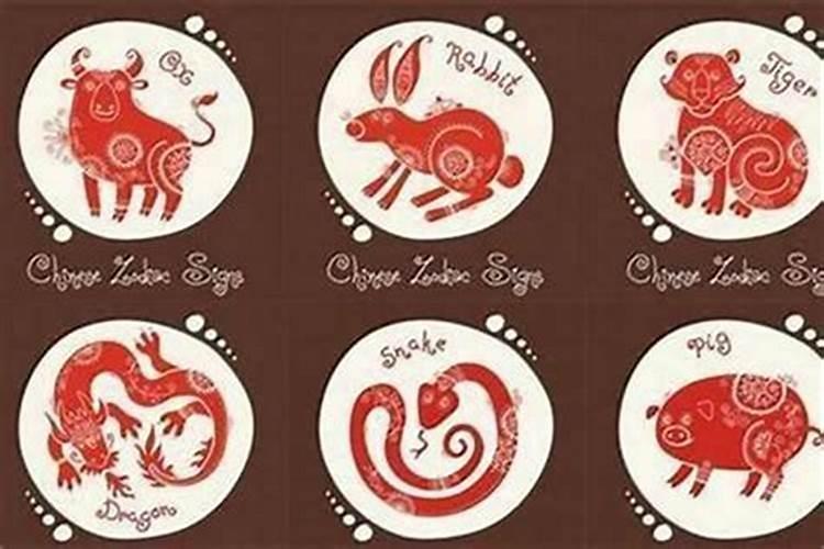 猴找属龙的合婚吗？