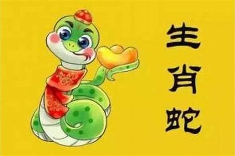 属蛇犯太岁吗？