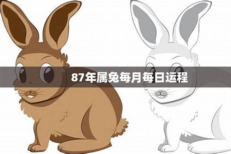 87年兔九月运势如何？